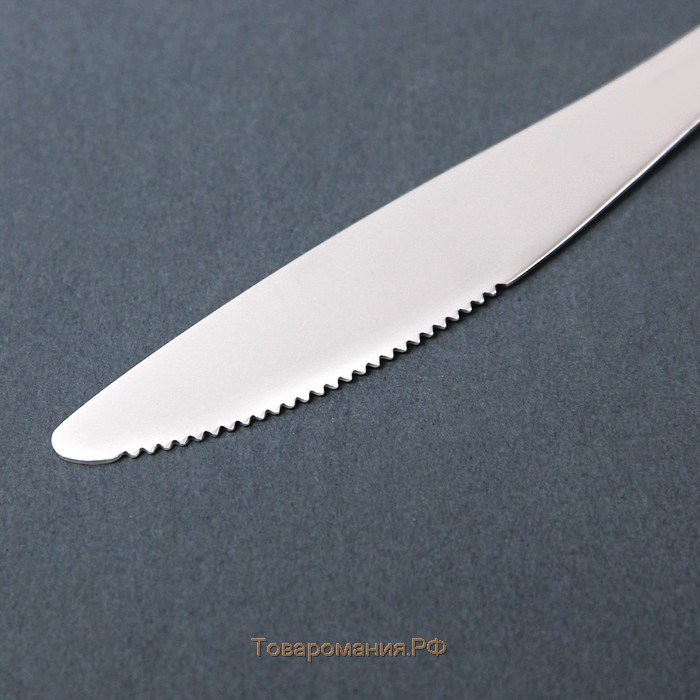 Нож столовый из нержавеющей стали «Равингтон», длина 22,3 см, цвет серебряный