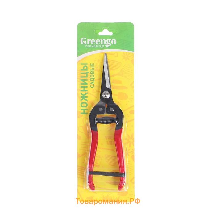 Ножницы садовые, 8" (20 см), с пластиковыми ручками, Greengo
