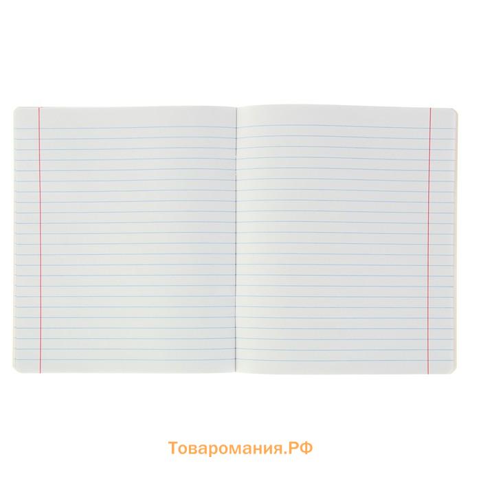 Тетрадь 18 листов в линейку, ErichKrause «Классика» обложка мелованный картон, МИКС