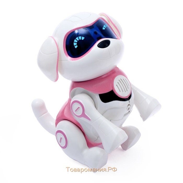 Робот собака «Чаппи» IQ BOT, интерактивный: сенсорный, свет, звук, музыкальный, танцующий, на аккумуляторе, на русском языке, розовый
