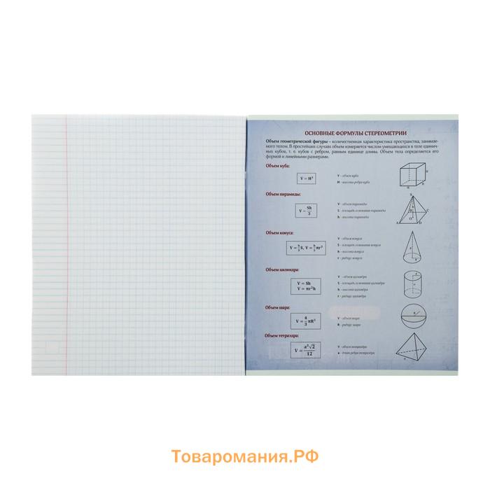 Тетрадь предметная 48 листов в клетку Calligrata, «Неон.Геометрия», со справочным материалом, обложка мелованный картон, УФ-лак, блок офсет
