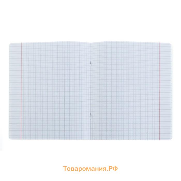Тетрадь 24 листа в клетку, ErichKrause «Классика», обложка мелованный картон, зелёная