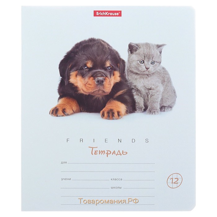 Тетрадь 12 листов в клетку ErichKrause ErichKrause "Дружба", обложка мелованный картон, блок офсет 100% белизны, МИКС (1 вид в спайке)
