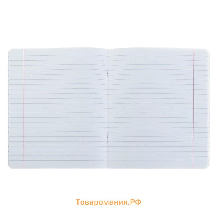 Тетрадь 12 листов в линейку ErichKrause Cats, обложка мелованный картон, блок офсет, белизна 100%, с принтом