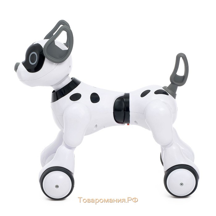 Робот собака Koddy IQ BOT, на пульте управления, интерактивный: звук, свет, танцующий, музыкальный, на аккумуляторе