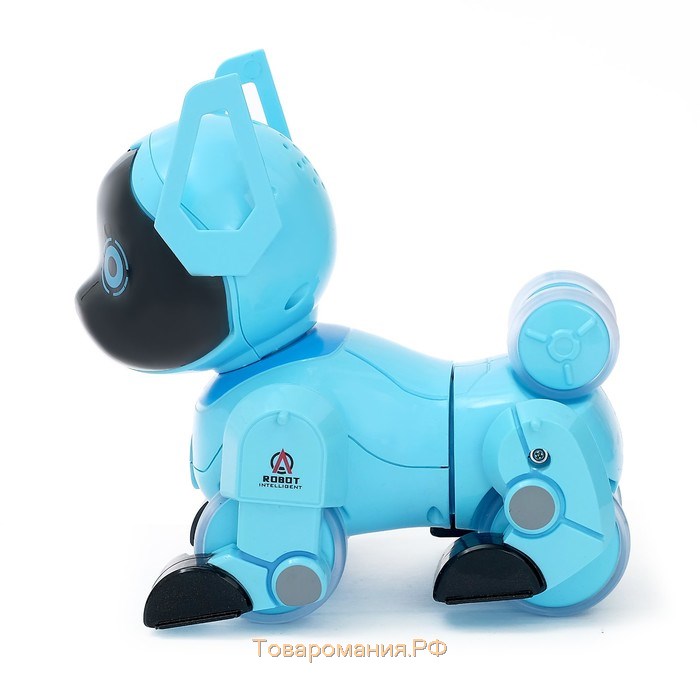 Робот собака «Паппи» , с программированием, на пульте управления, интерактивный: звук, свет, на аккумуляторе, голубой