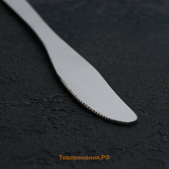 Нож столовый из нержавеющей стали Gleen, длина 22 см, толщина 2 мм, цвет серебряный