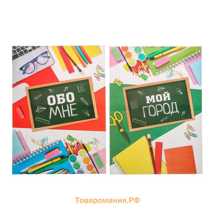 Папка школьная на кольцах «Портфолио школьника», 10 листов-разделителей, 24,5 х 32 см.