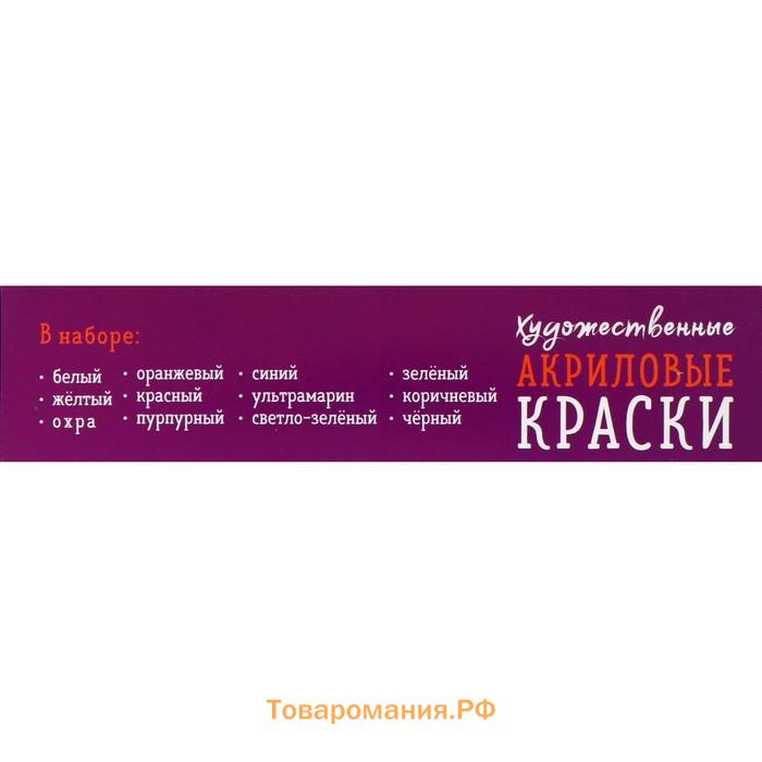 Краска акриловая, набор 12 цветов х 20 мл, Calligrata, художественная, морозостойкая, в картонной коробке