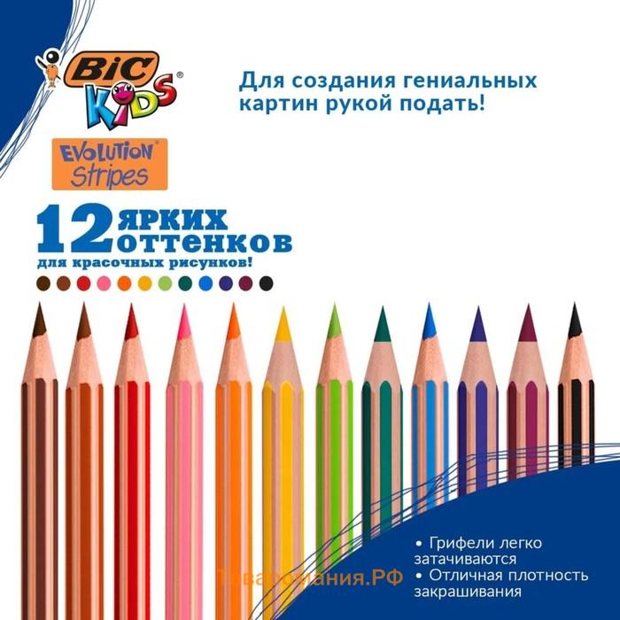 Карандаши цветные 12 цветов , BIC "Kids Evolution Stripes", пластиковые, детские