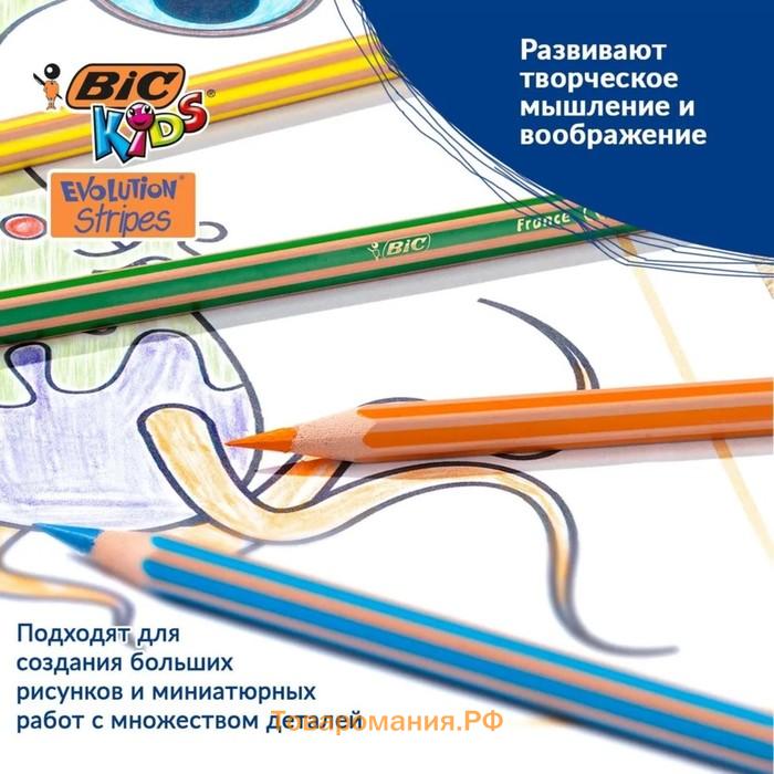 Карандаши цветные 12 цветов , BIC "Kids Evolution Stripes", пластиковые, детские