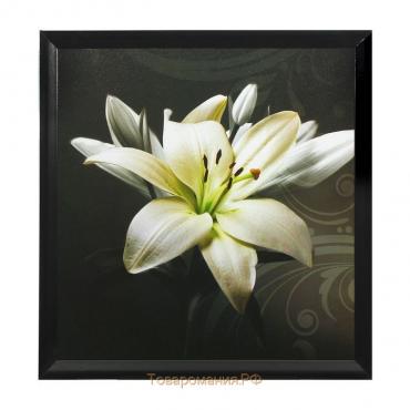 Картина "Белая лилия" 75*75 см