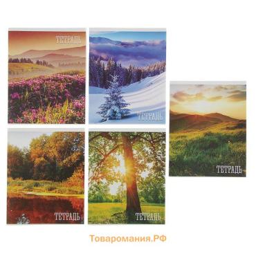 Тетрадь 48 листов в клетку, Calligrata «Времена года», обложка мелованная бумага, серые листы, МИКС