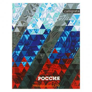 Дневник универсальный для 1-11 классов, "Россия геометрия", твердая обложка 7БЦ, глянцевая ламинация, 40 листов