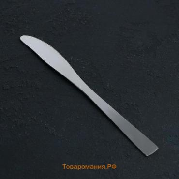 Нож столовый из нержавеющей стали Gleen, длина 22 см, толщина 2 мм, цвет серебряный