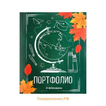 Папка школьная с креплением «Портфолио школьника», 10 листов-разделителей, 21,5 х 30 см.