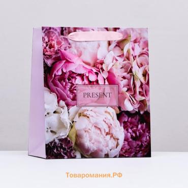 Пакет ламинированный вертикальный PRESENT, 23×27×11.5 см
